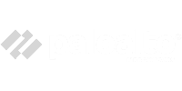 Palo Alto Networks